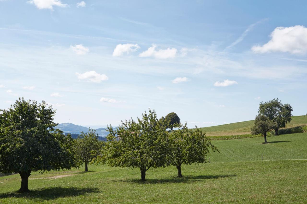 Bio Garni Moeschberg Hotel Grosshochstetten ภายนอก รูปภาพ